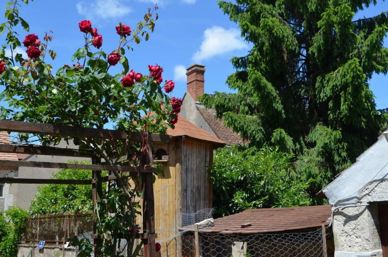 Bed and Breakfast Maison D'Autrefois Mareau-aux-Prés Exterior foto